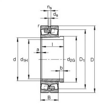 Rolando 23176-K-MB + AH3176G-H FAG