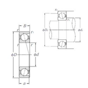 Rolando 7316 NTN