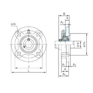 Rolando UCFCX11 NACHI