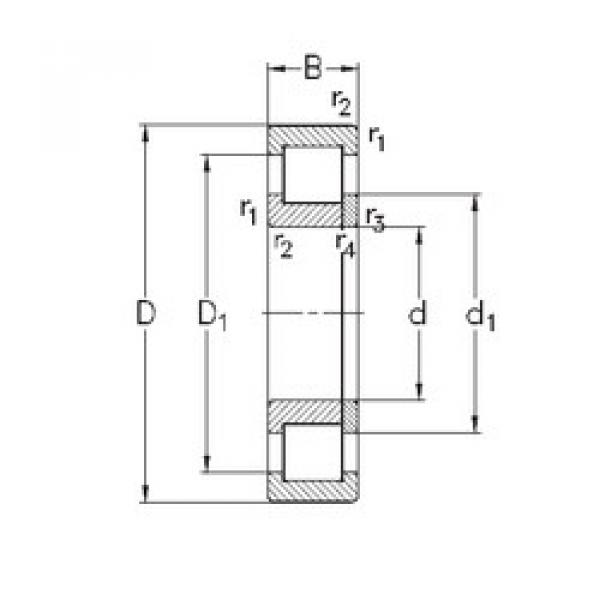 Rolando NUP2311-E-MPA NKE #1 image